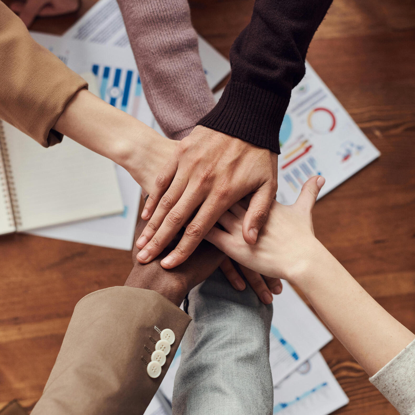 اعضاء الادارة